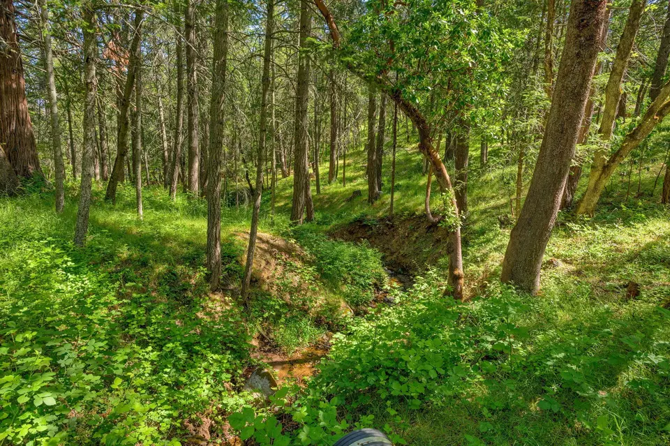 Other - 1988 Old Siskiyou Hwy, Ashland, OR 97520 photo 26 of 40