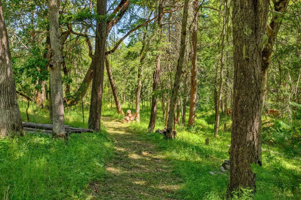 Other - 1988 Old Siskiyou Hwy, Ashland, OR 97520 photo 31 of 40