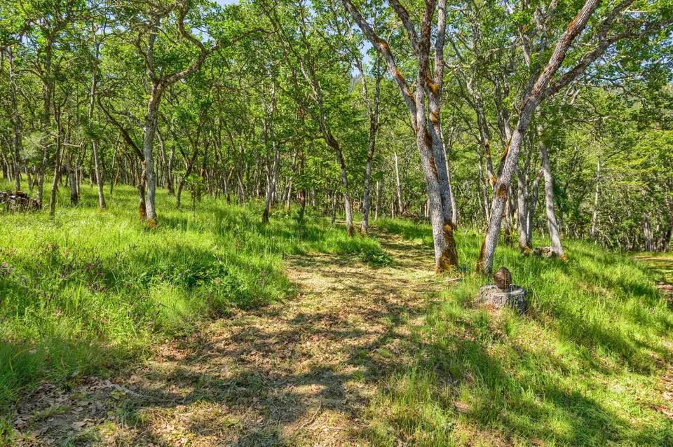 Exterior - 1988 Old Siskiyou Hwy, Ashland, OR 97520 photo 25 of 61