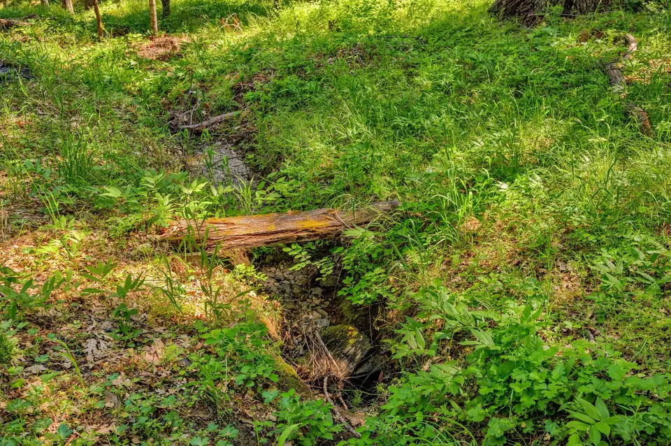 Other - 1988 Old Siskiyou Hwy, Ashland, OR 97520 photo 28 of 40