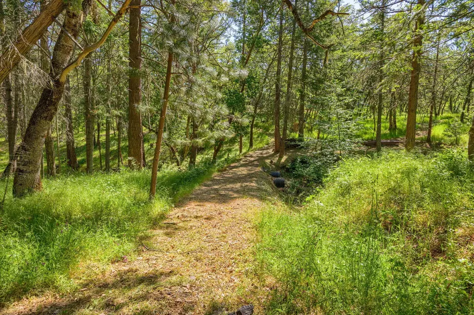 Other - 1988 Old Siskiyou Hwy, Ashland, OR 97520 photo 24 of 40