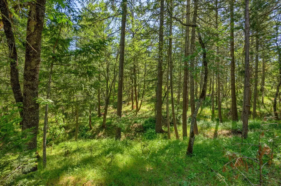 Exterior - 1988 Old Siskiyou Hwy, Ashland, OR 97520 photo 28 of 61