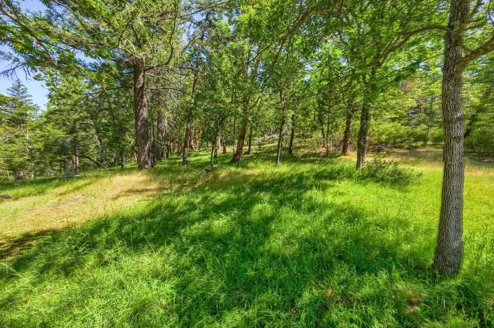 Exterior - 1988 Old Siskiyou Hwy, Ashland, OR 97520 photo 24 of 61