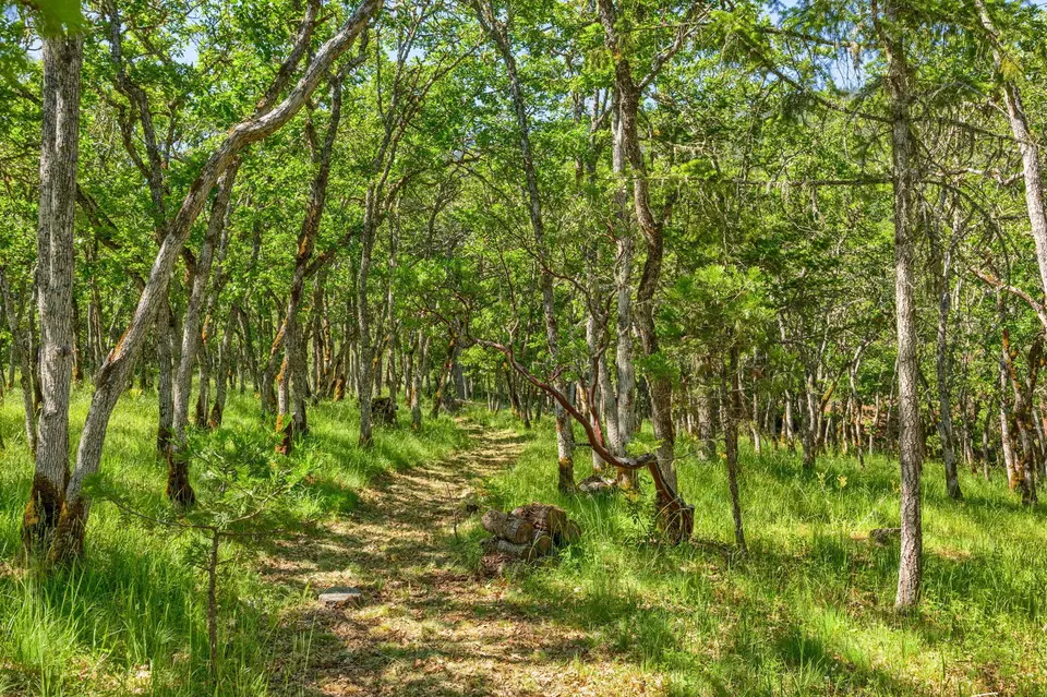 Other - 1988 Old Siskiyou Hwy, Ashland, OR 97520 photo 19 of 40