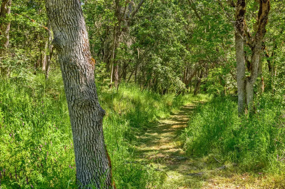 Other - 1988 Old Siskiyou Hwy, Ashland, OR 97520 photo 23 of 40