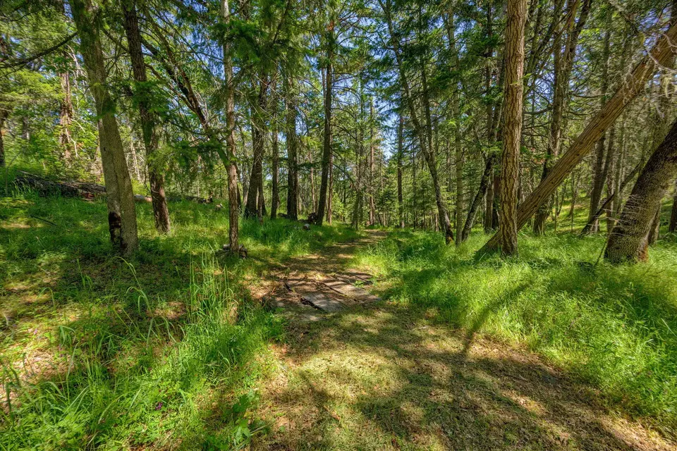 Exterior - 1988 Old Siskiyou Hwy, Ashland, OR 97520 photo 26 of 61