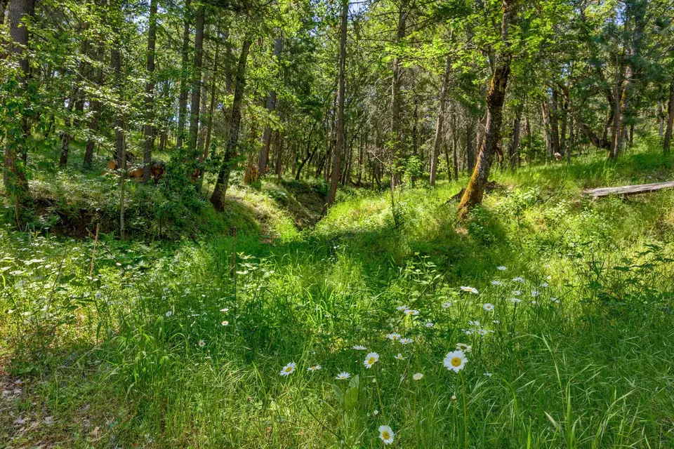 Other - 1988 Old Siskiyou Hwy, Ashland, OR 97520 photo 33 of 40