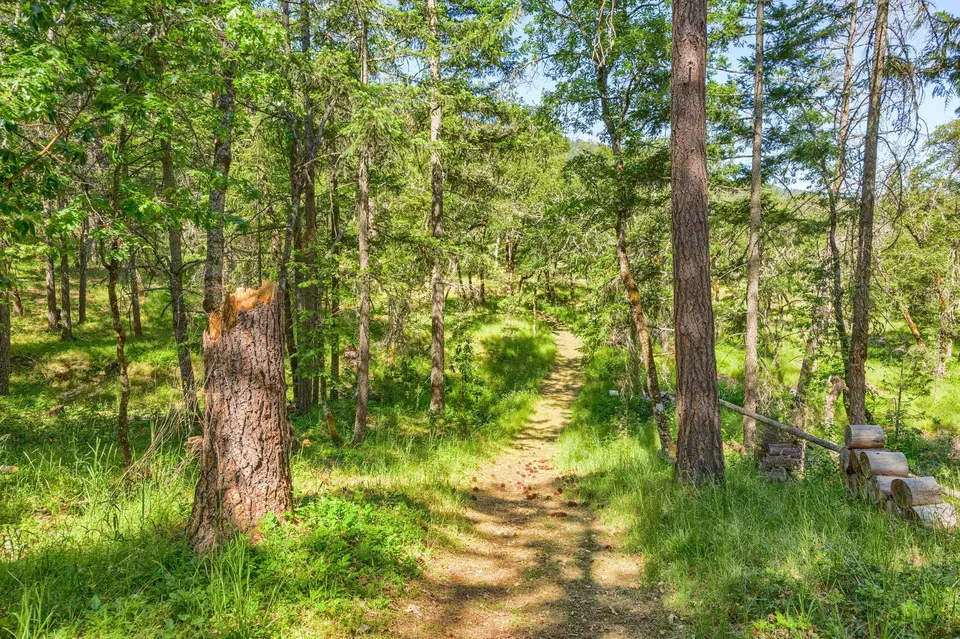 Other - 1988 Old Siskiyou Hwy, Ashland, OR 97520 photo 36 of 40