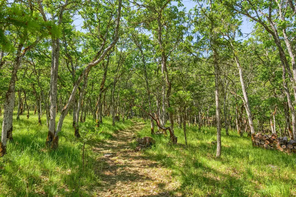 Other - 1988 Old Siskiyou Hwy, Ashland, OR 97520 photo 18 of 40