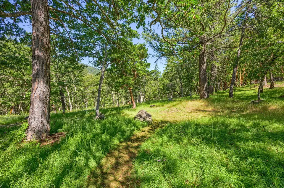 Exterior - 1988 Old Siskiyou Hwy, Ashland, OR 97520 photo 35 of 61