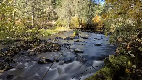 52 Dodes Creek Rd, Trail, OR 97541