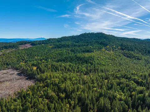 0 Long Branch Spur Rd, Eagle Point, OR 97524 photo 8