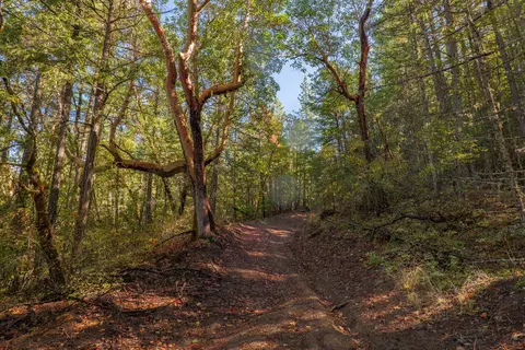 0 Long Branch Spur Rd, Eagle Point, OR 97524 photo 19
