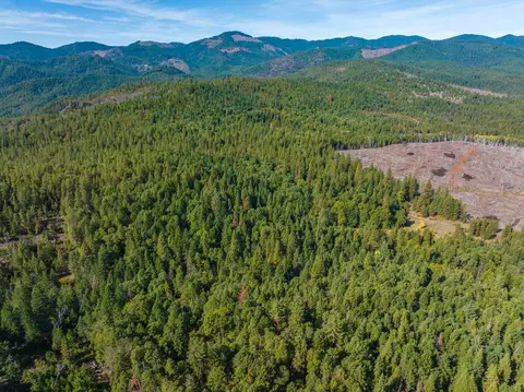 0 Long Branch Spur Rd, Eagle Point, OR 97524 photo 10