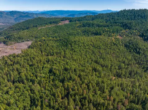 0 Long Branch Spur Rd, Eagle Point, OR 97524 photo 33