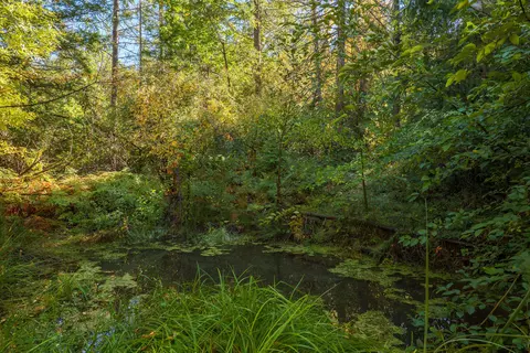 0 Long Branch Spur Rd, Eagle Point, OR 97524 photo 18