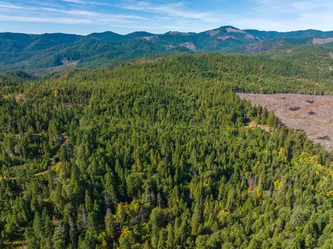 0 Long Branch Spur Rd, Eagle Point, OR 97524 photo 11