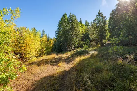 0 Long Branch Spur Rd, Eagle Point, OR 97524 photo 16