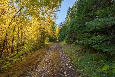 0 Long Branch Spur Rd, Eagle Point, OR 97524 photo 17