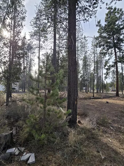 Hackett Drive, La Pine, OR 97739 photo 31