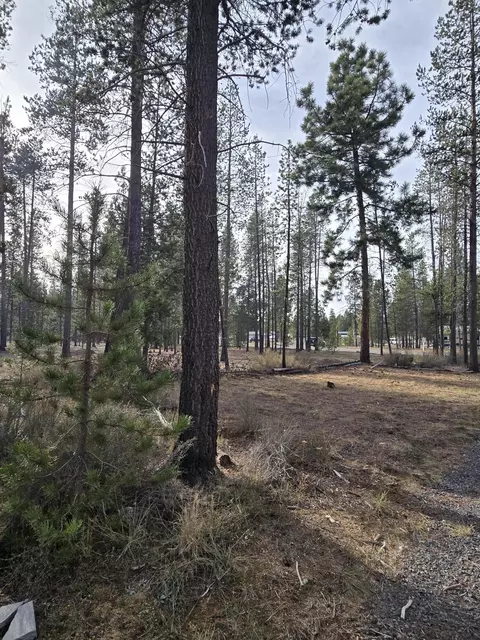 Hackett Drive, La Pine, OR 97739 photo 22