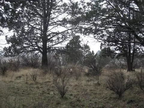 drews road LOT 2, Sprague River, OR 97639