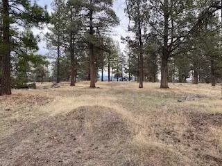 0 Widgeon, Bonanza, OR 97623
