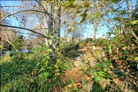 13731 Highway 238, Applegate, OR 97530 photo 12