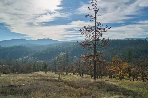 9463 E Antelope Rd, Eagle Point, OR 97524 photo 20