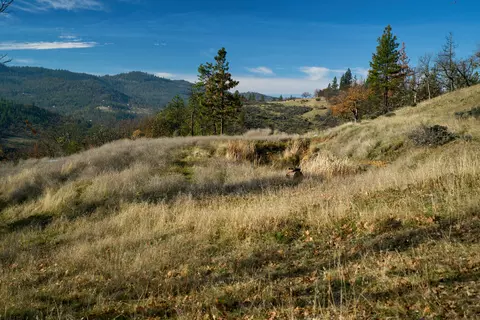 9463 E Antelope Rd, Eagle Point, OR 97524 photo 15