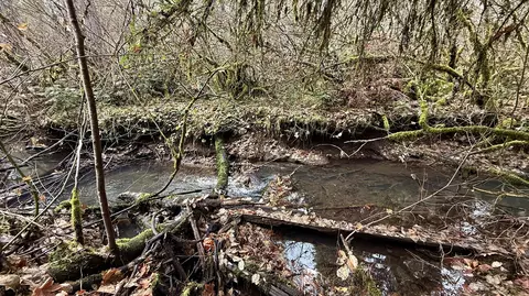 Other - 431 Red Blanket Rd, Prospect, OR 97536 photo 1 of 13