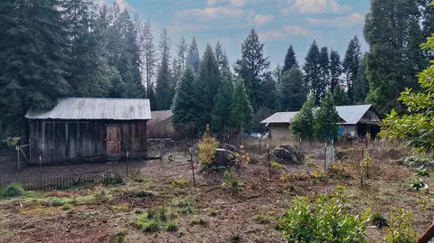 Exterior - 431 Red Blanket Rd, Prospect, OR 97536 photo 14 of 17