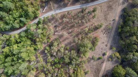 6715 W Side Rd, Cave Junction, OR 97523