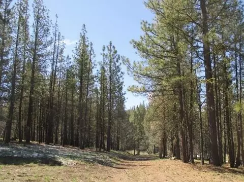 partin drive, Beatty, OR 97621