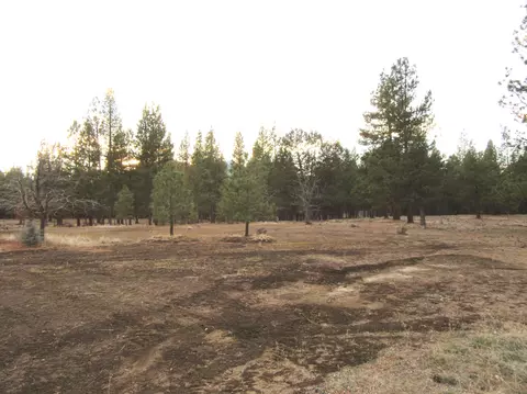 Other - 16144 Sprague River Rd, Chiloquin, OR 97624 photo 11 of 16