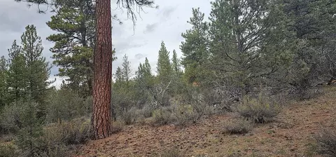 grizzly lane, Bonanza, OR 97623
