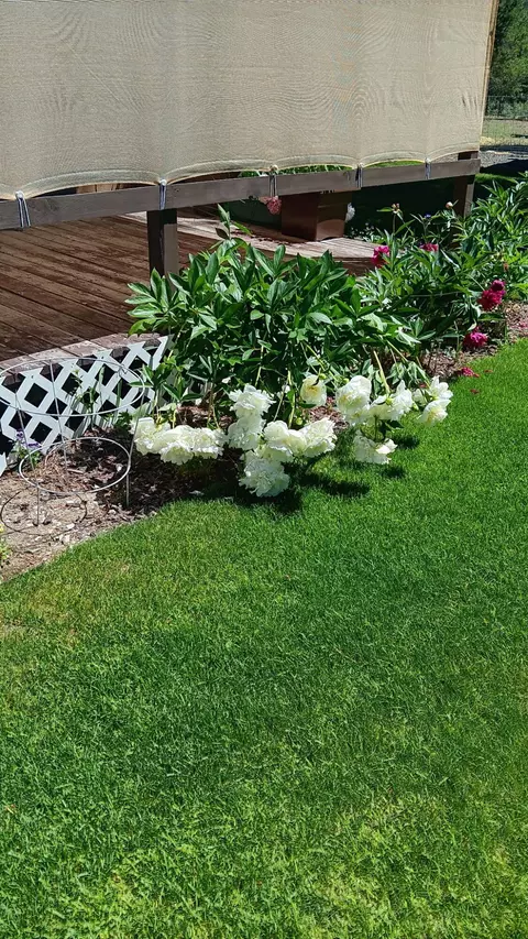 Other - 53465 Kokanee Ln, La Pine, OR 97739 photo 14 of 16
