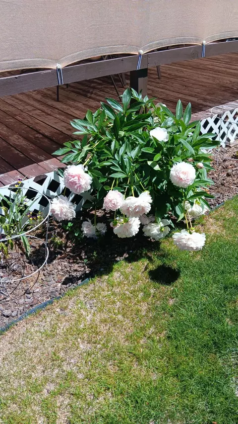 Other - 53465 Kokanee Ln, La Pine, OR 97739 photo 13 of 16