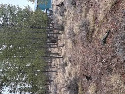 Sun Forest Drive, La Pine, OR 97739 photo 4