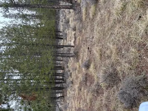 Sun Forest Drive, La Pine, OR 97739 photo 3