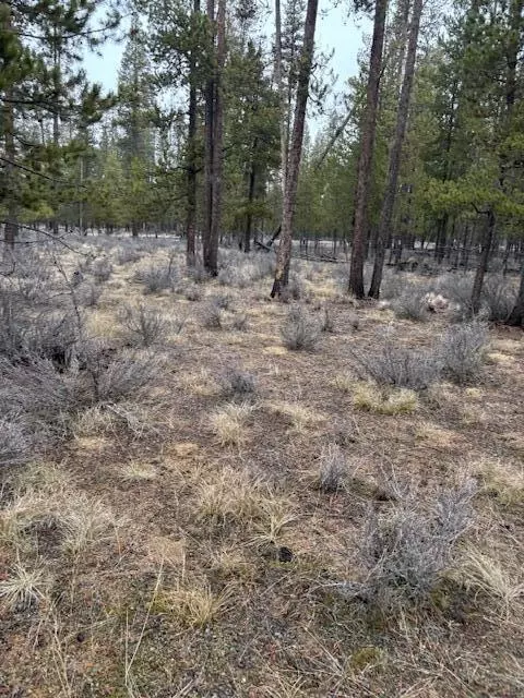 Sun Forest Drive, La Pine, OR 97739 photo 10
