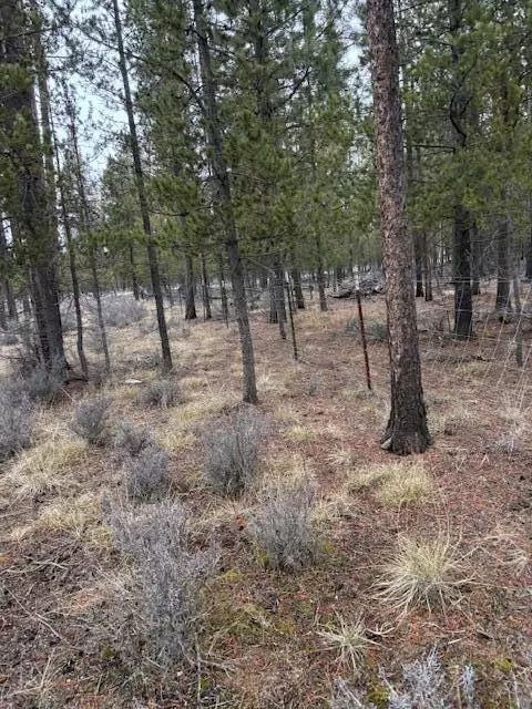Sun Forest Drive, La Pine, OR 97739 photo 8