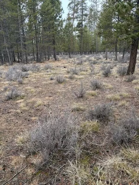 Sun Forest Drive, La Pine, OR 97739 photo 9