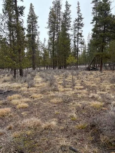 Sun Forest Drive, La Pine, OR 97739 photo 12
