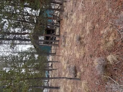 Sun Forest Drive, La Pine, OR 97739 photo 5