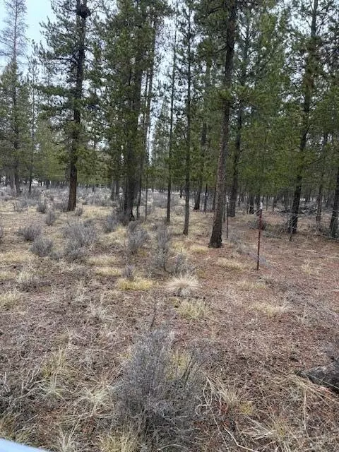Sun Forest Drive, La Pine, OR 97739 photo 7