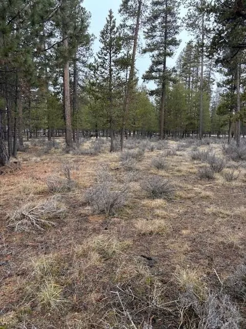 Sun Forest Drive, La Pine, OR 97739 photo 11