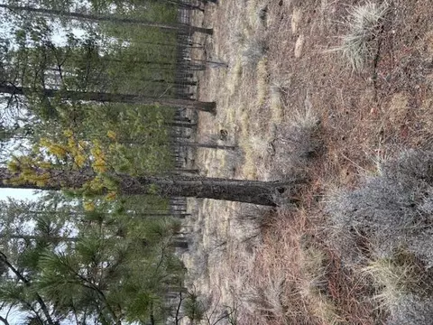 Sun Forest Drive, La Pine, OR 97739 photo 6