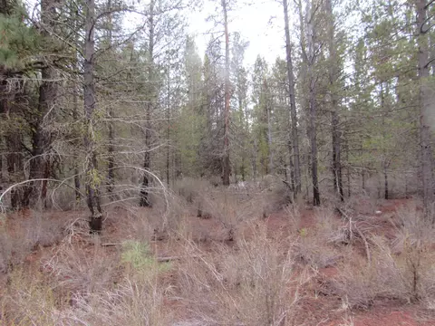 Undisclosed, Chiloquin, OR 97624