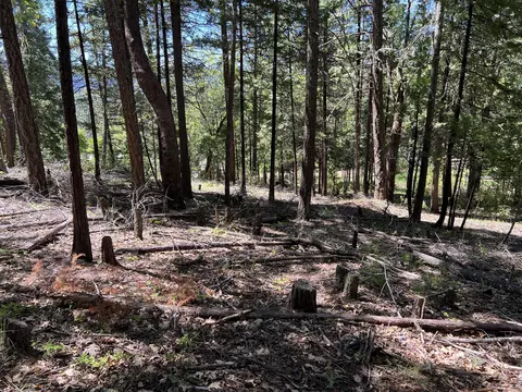 00347 Flounce Rock Rd, Prospect, OR 97536